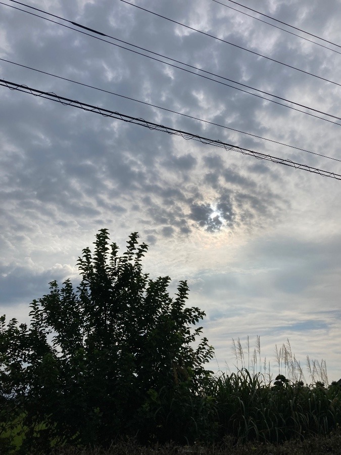 8時の空