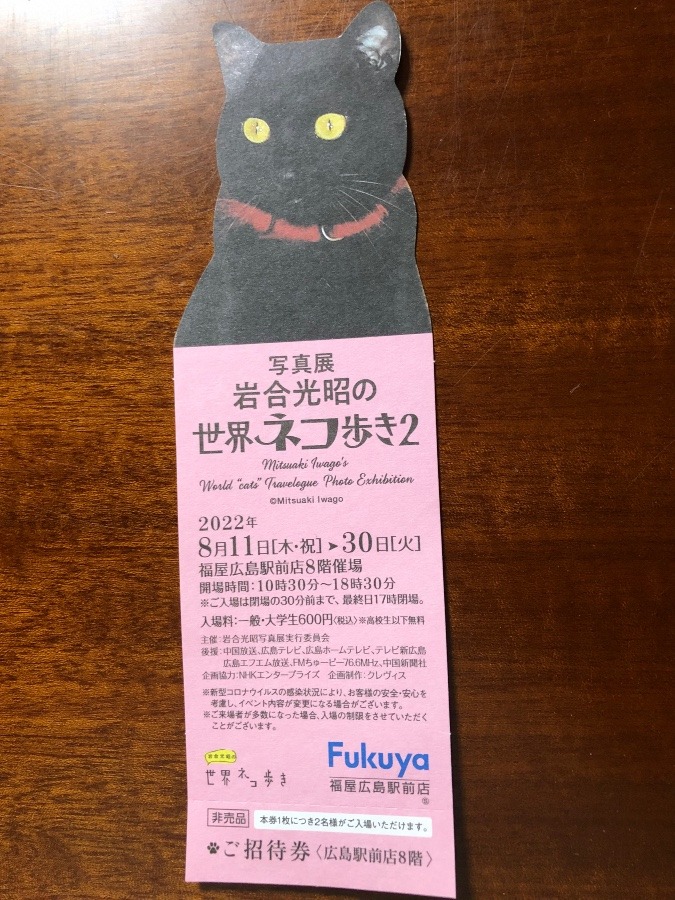 間もなくです🐈