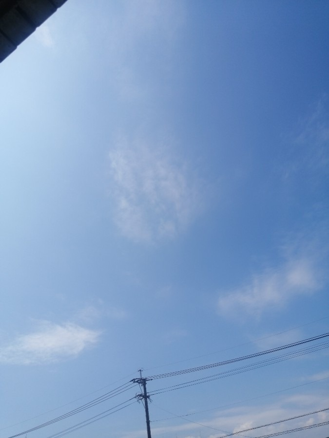 今日の空－8月30日