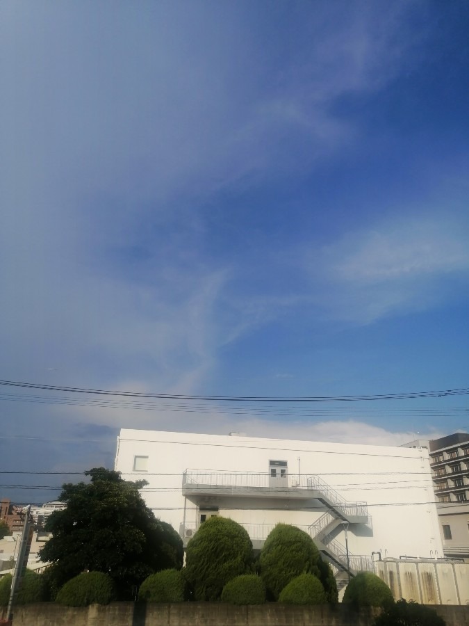 今日の空－8月7日