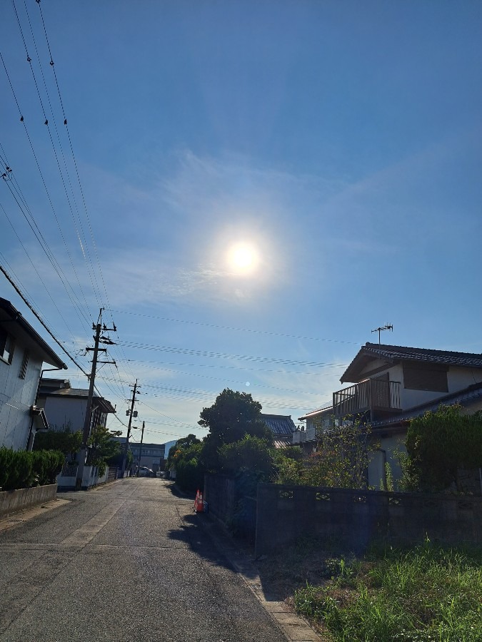 今空　青空と太陽☀️　気持ちがいいね！