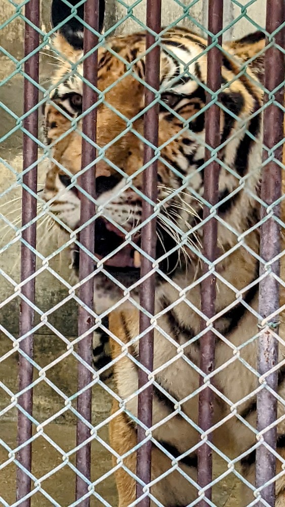 動植物園