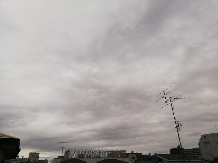 おはようございます☁️