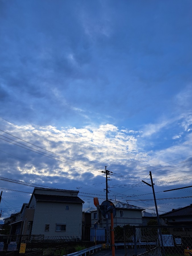 散歩の風景