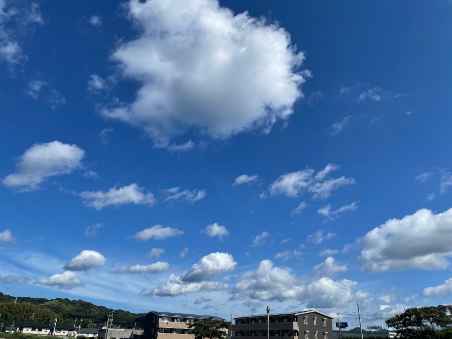 朝の空　9時頃