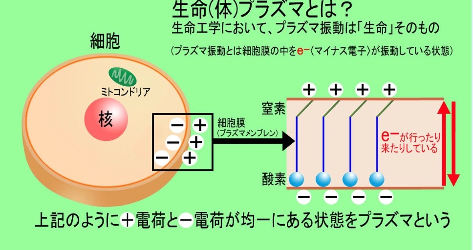 プラズマ理論　小又誠／癌治療