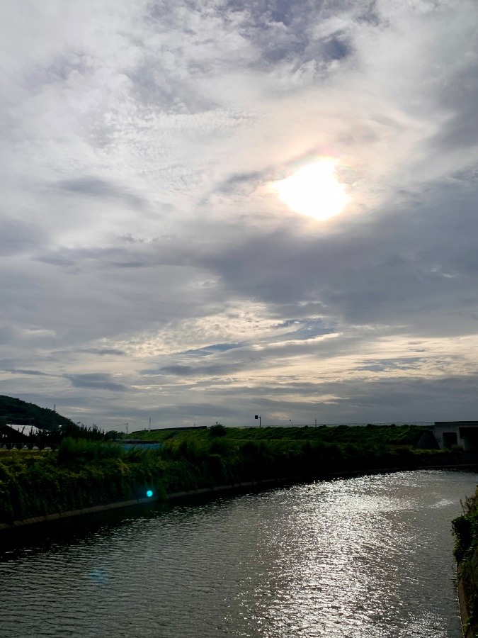 今朝の空