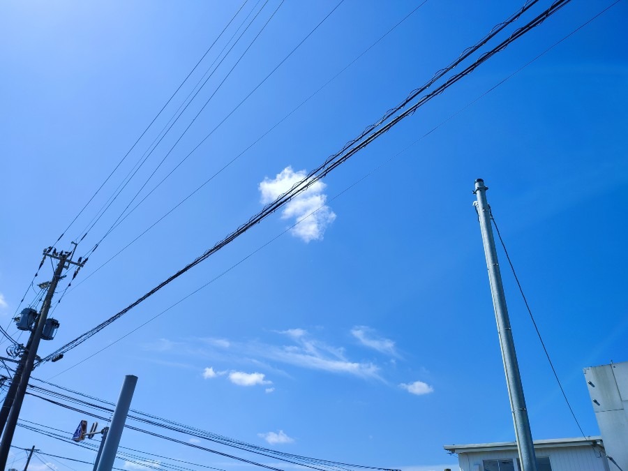 今日の宮崎市の青空☀😊