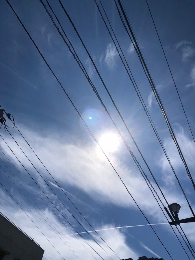 太陽が眩しい❗️ ☀️☀️☀️