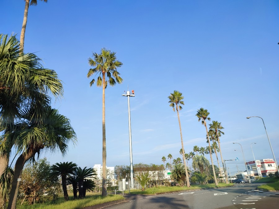 朝の宮崎空港からの📷