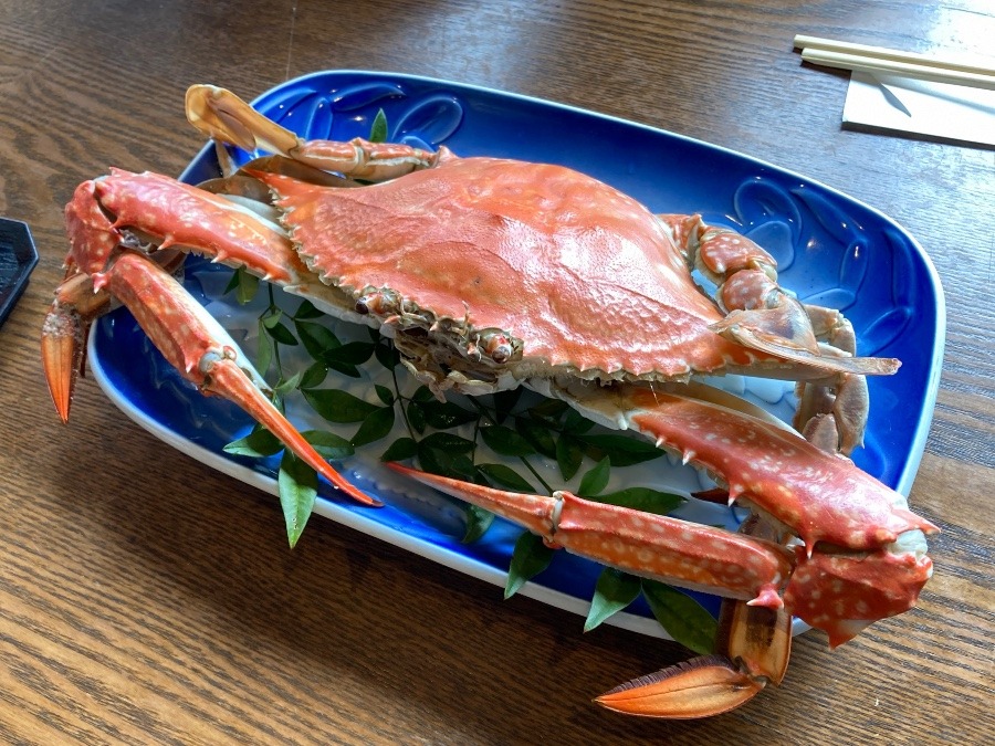 カニ🦀　蟹づくし