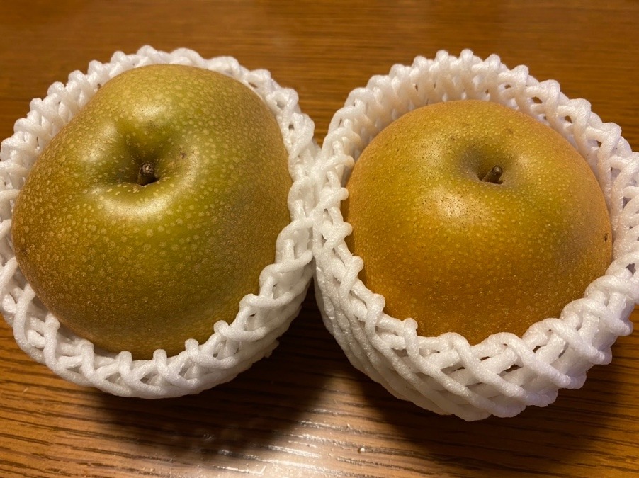 梨🍐