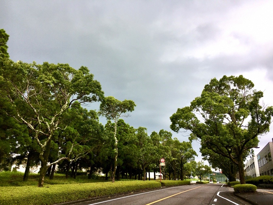 ⭕️空部→   いま空（≧∇≦）‼️122.