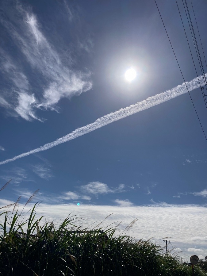 太〜いひこうき雲発見‼️