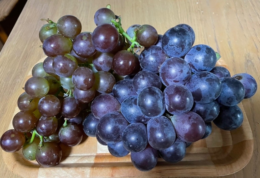 いただきもの🍇(^_^*)