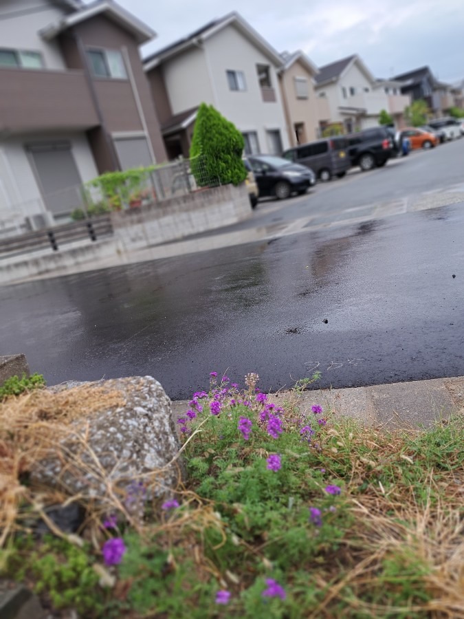 9/18　今朝の空