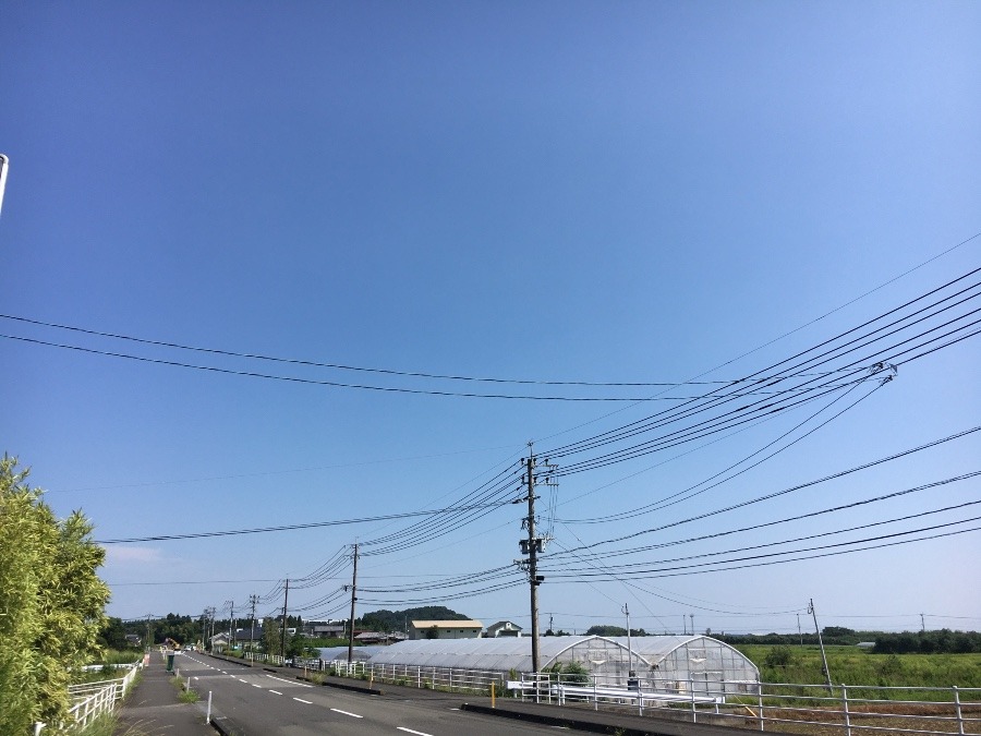 ⭕️空部→   いま空（≧∇≦）‼️117.