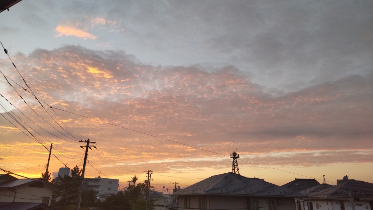 今日も、晴れ。朝日が、輝いてる。