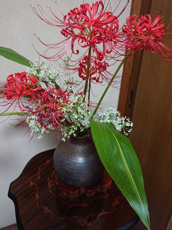 花倶楽部「お庭の花で…」白い花何か分かりますか⁉️