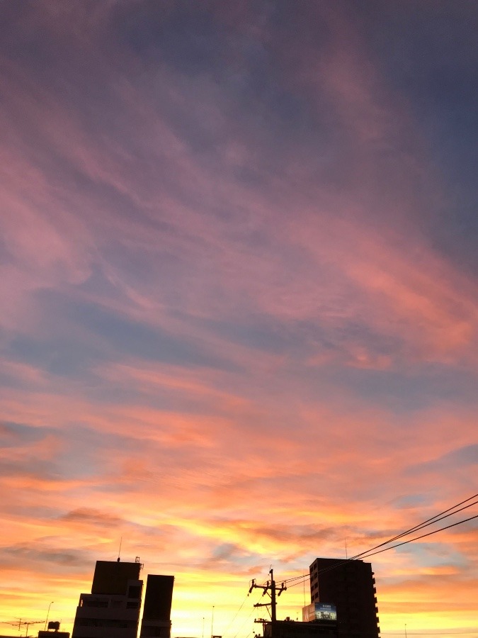 ✨夕焼け✨