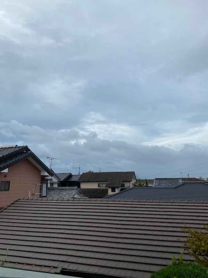 台風の去った朝