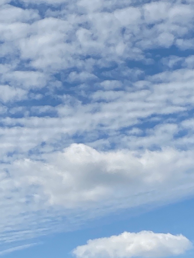 青い空の雲