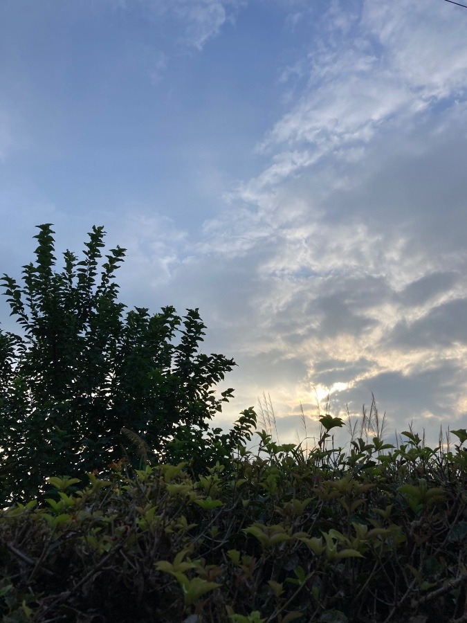 7時過ぎの空