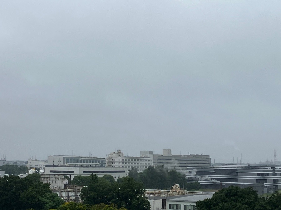 今朝の富士山