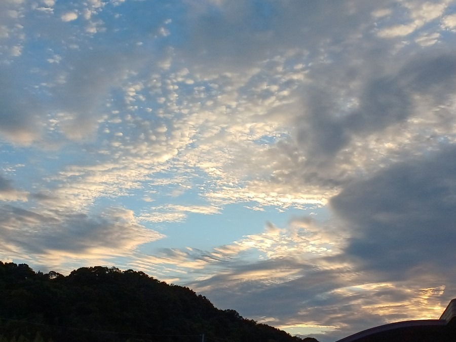 雲もくもく部(*^^*)•*¨*•.¸¸☆