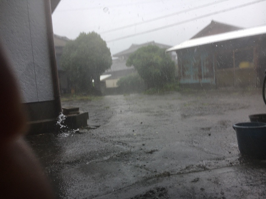 ☔️台風の前影響か⁉️（≧∇≦）