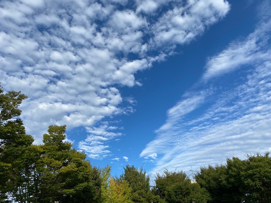 秋の空