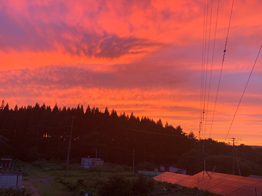 ビックリするぐらいの夕焼け