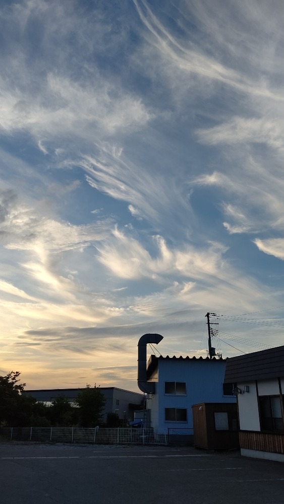 雲に羽が❣️