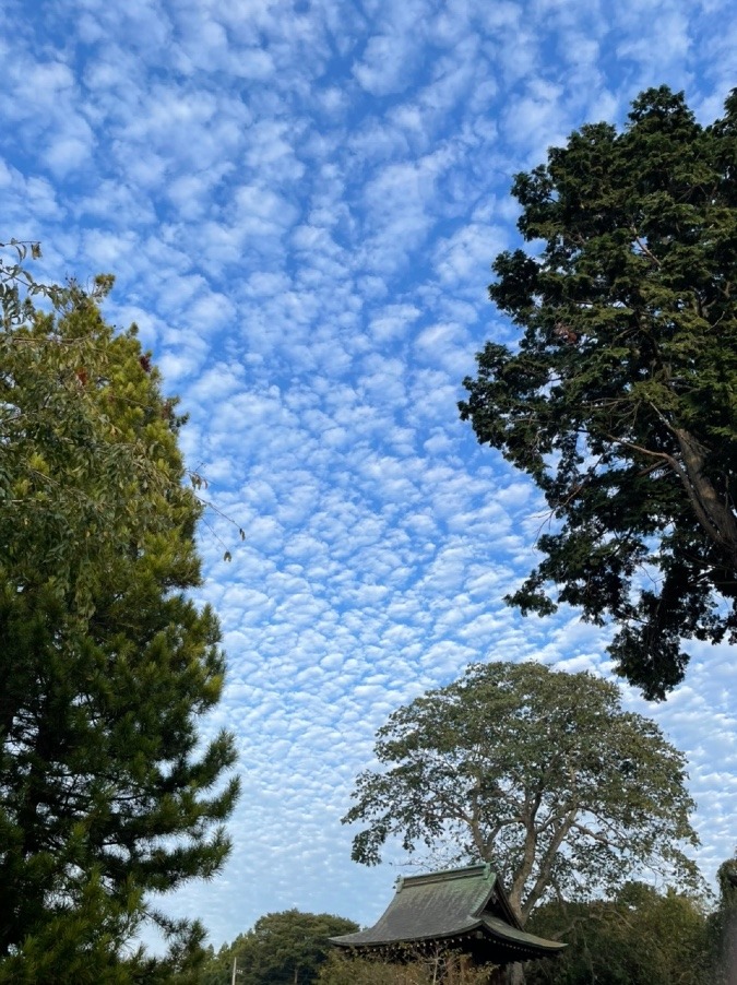 昨日の空