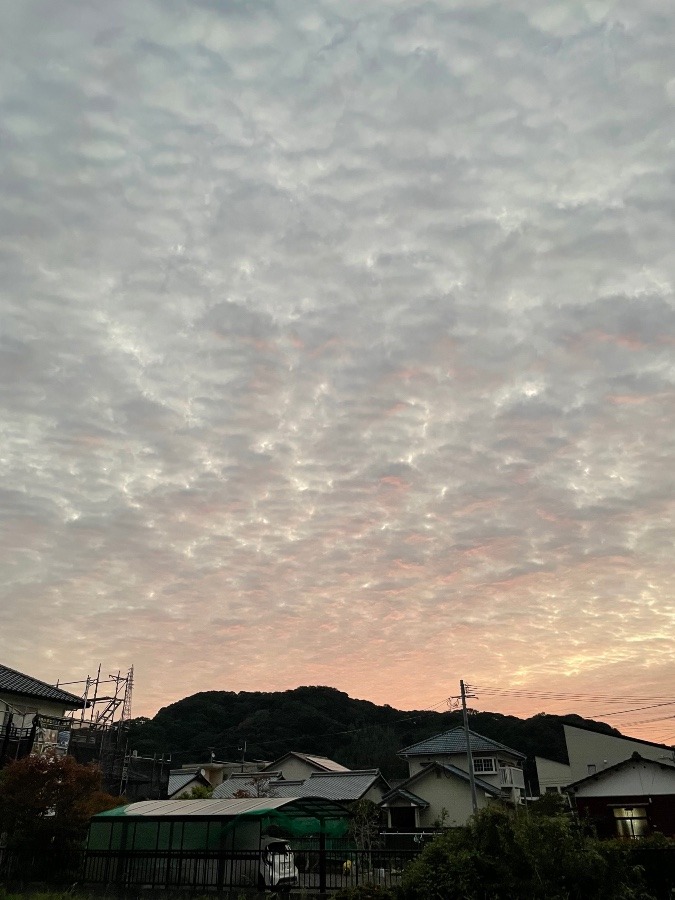 5時30分の空