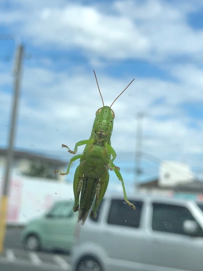 覗かれました😅