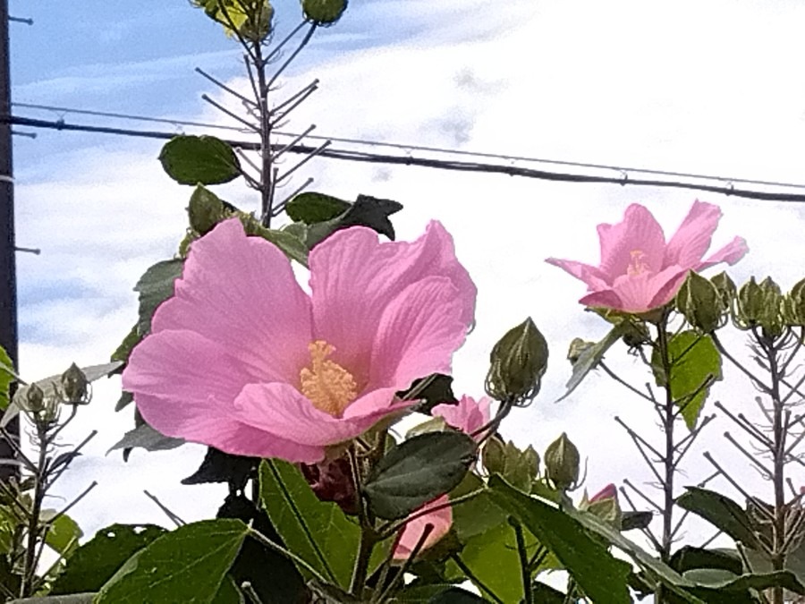 空に向かって💖