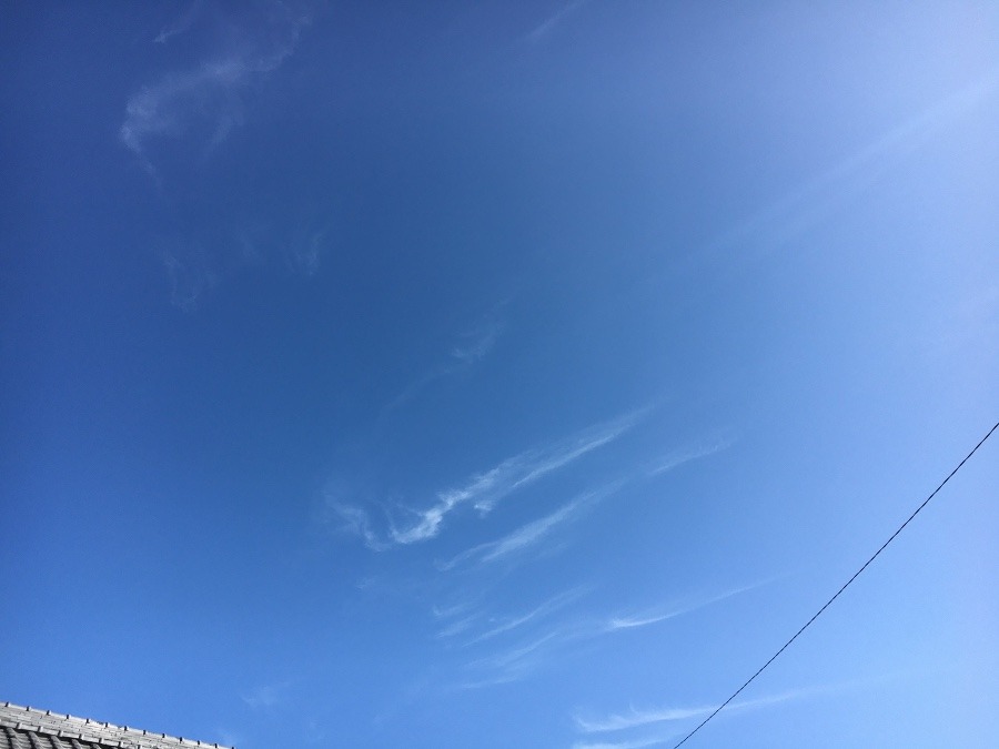 ⭕️ 自然→   いま空（≧∇≦）‼️