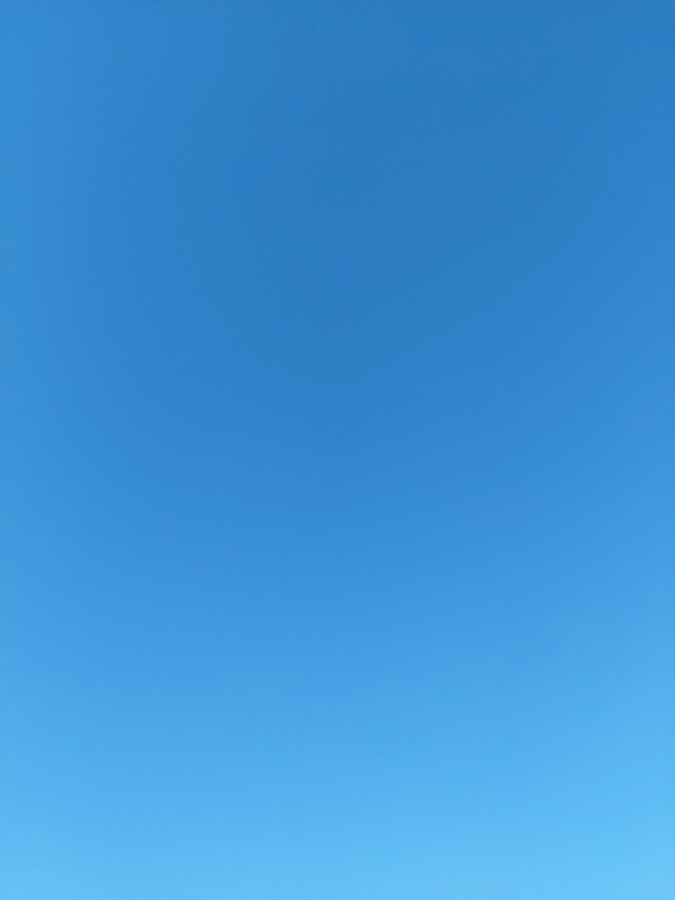 今日は青空