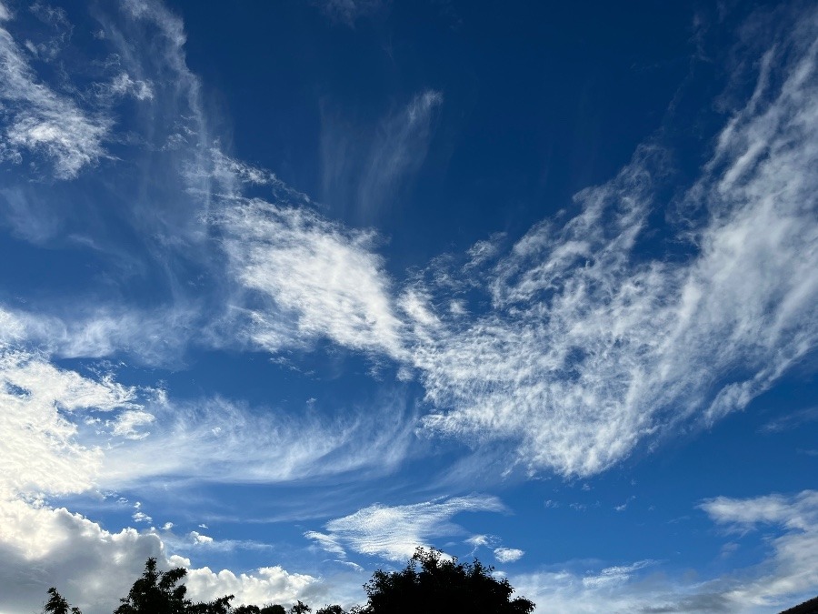 朝の空