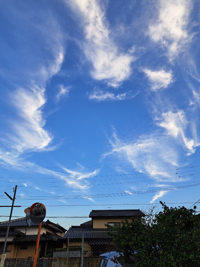 輪になって踊ろう🎵