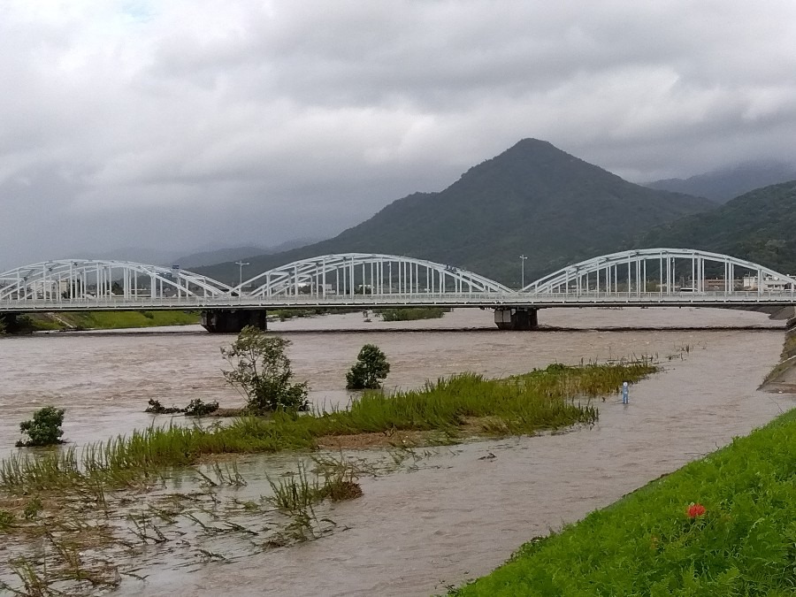 台風🌀のあと④