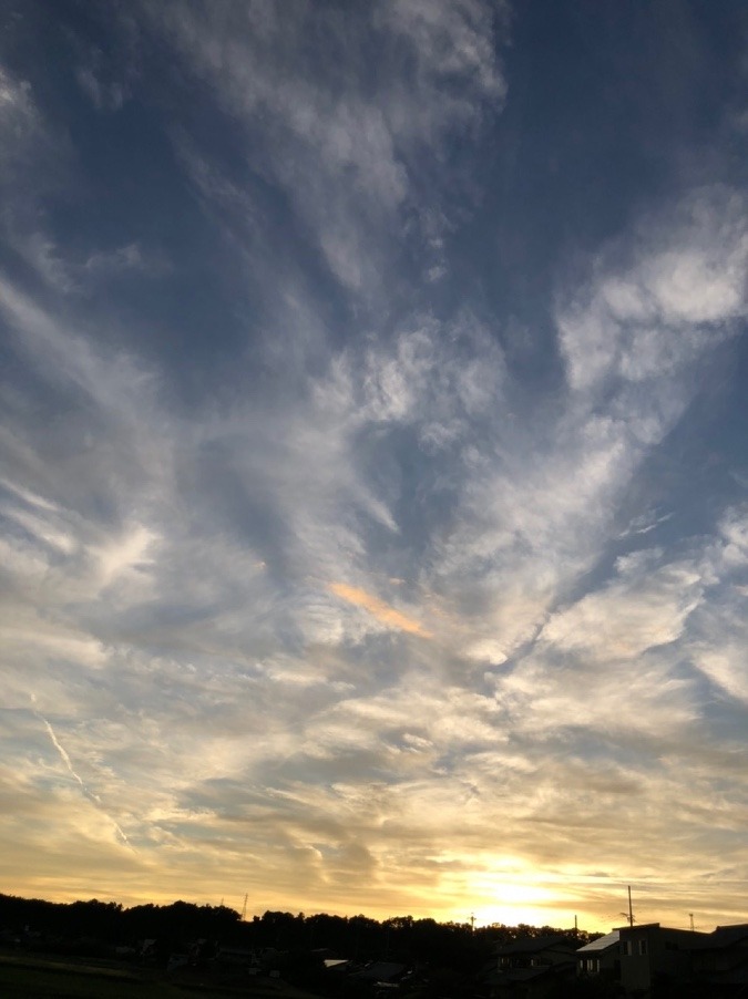 🌤まだまだ