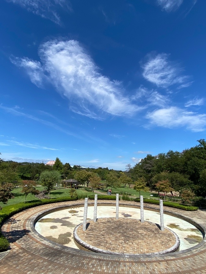 青空☀️☀️☀️