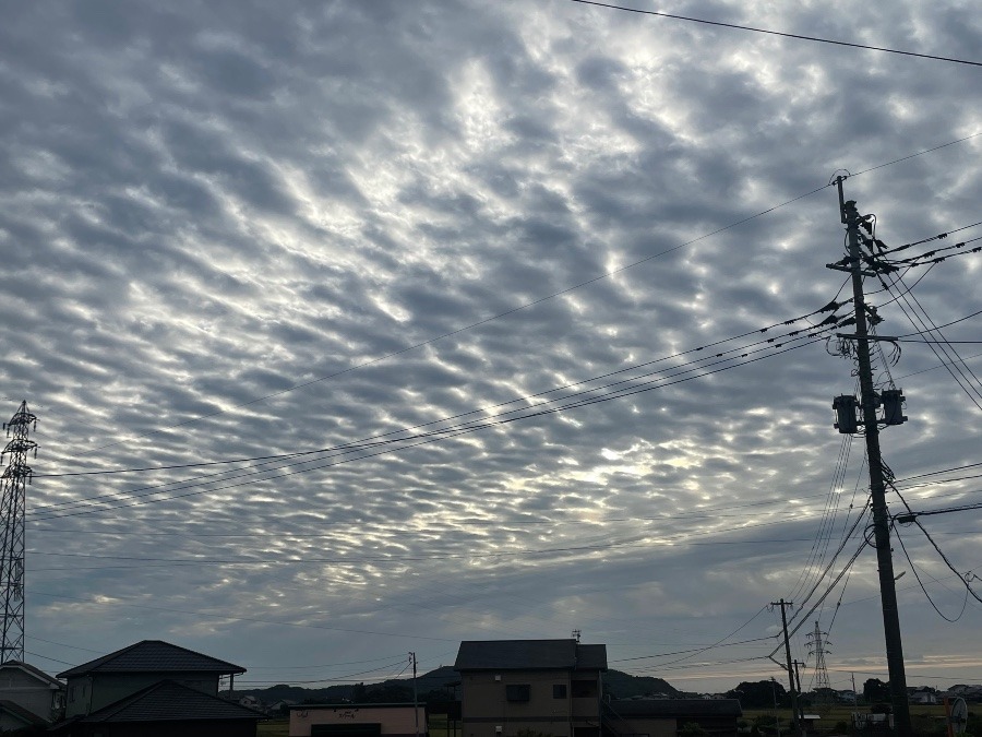 今朝の空