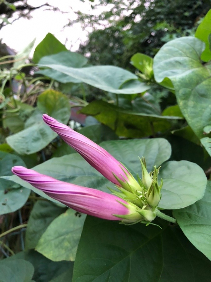 💠明日の準備💠