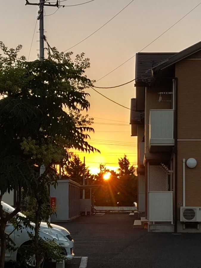 夕陽と夕焼け🌇🌇