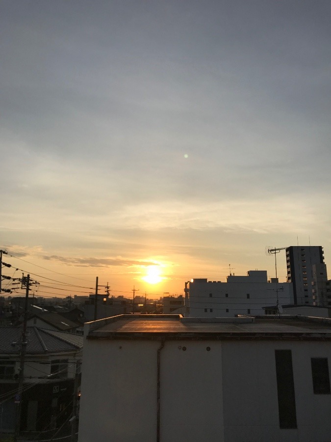 朝陽☀️✨