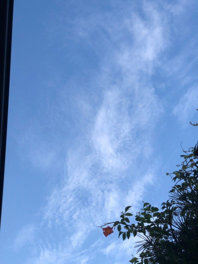 今空　早朝❗️