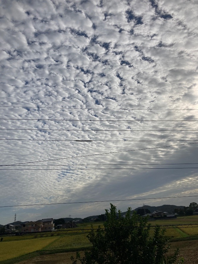 8時の空